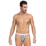 BS Men's Mesh Power Net Transparent Sexy Brief Underwear (White)