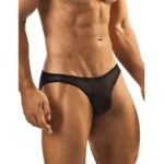 BS Men's Mesh Power Net Sexy Transparent Brief Underwear (Black)