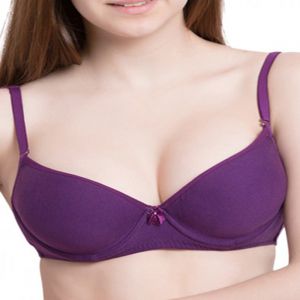 SW Hushh Comfort Purple Padded Bra