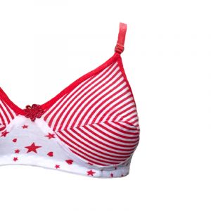 SW 50% Off Shilpa Star Printed Everyday Bra